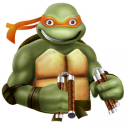 Michelangelo Ninja Turtle